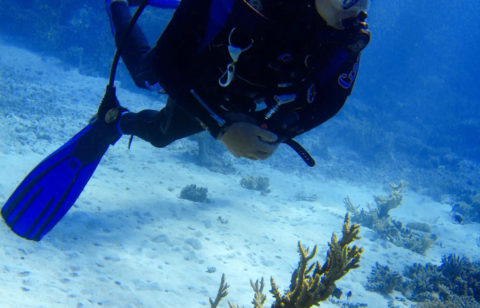scuba