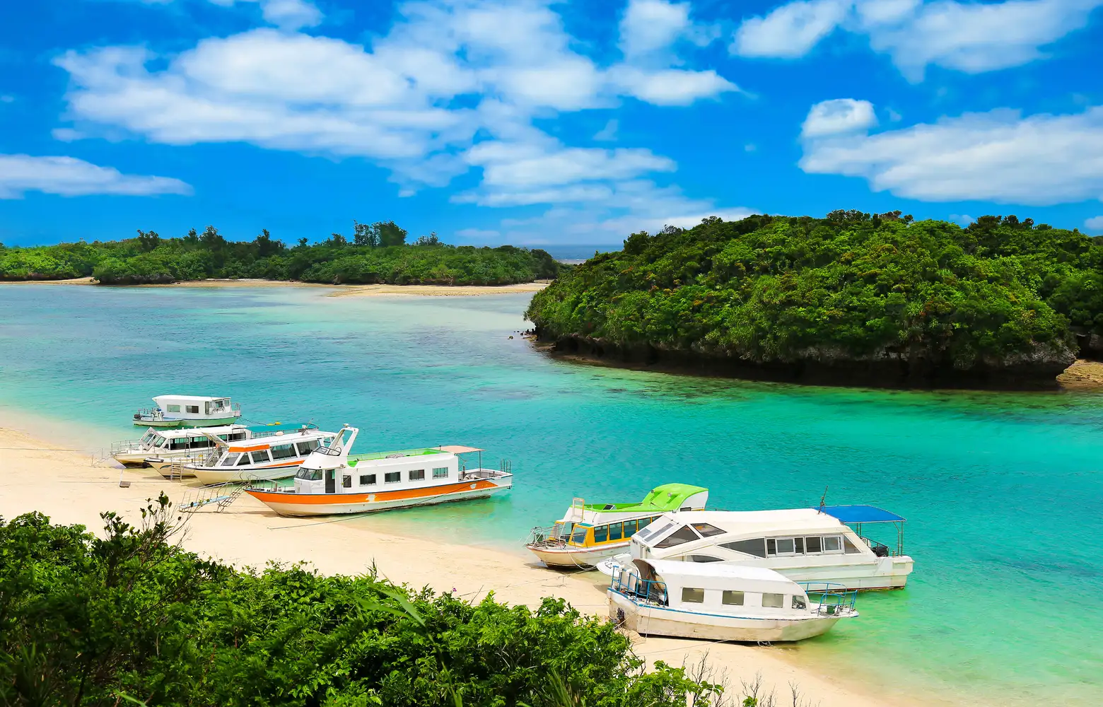 discovernaturalparadiseandislandhopping